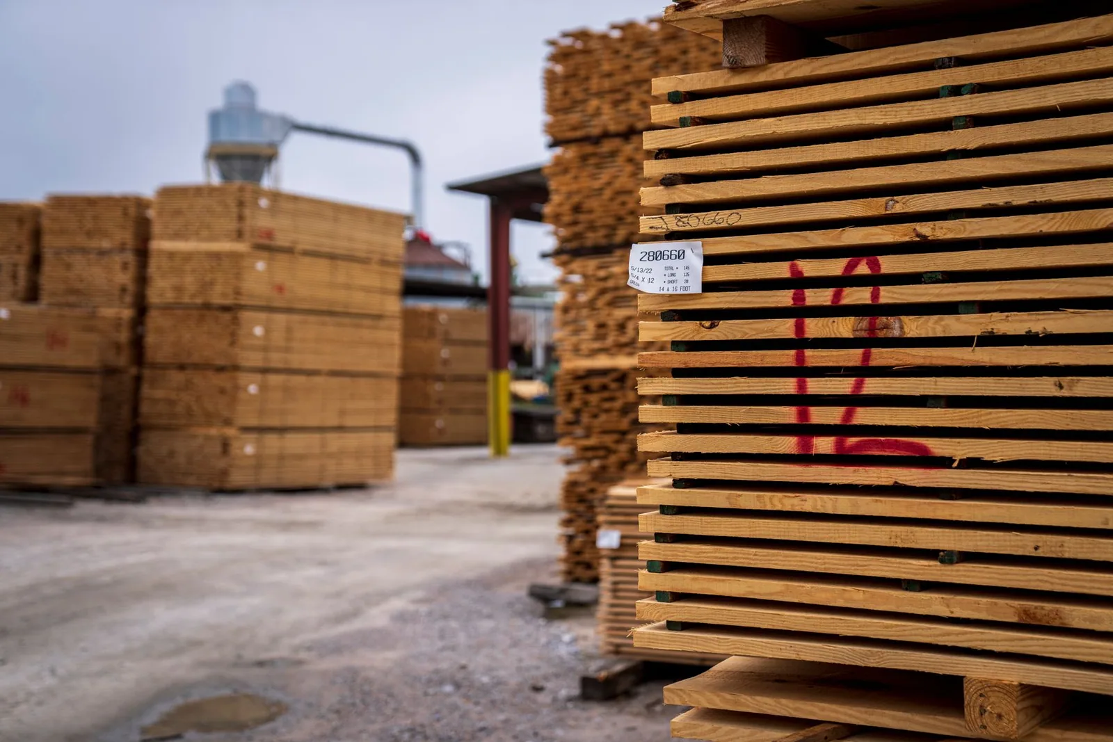 Stacks of rough-sawn lumber at a mill yard